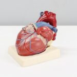 Photo Medical robot